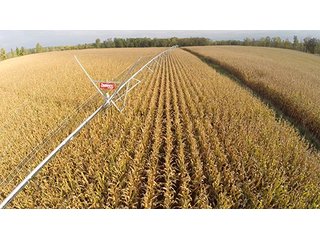 Property photo 12 - Southern Michigan Land Auction - 2 Auctions in 1 - 229+/- Acres and 66+/- Acres
